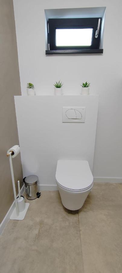 Casira Guesthouse Sînmartin Екстериор снимка
